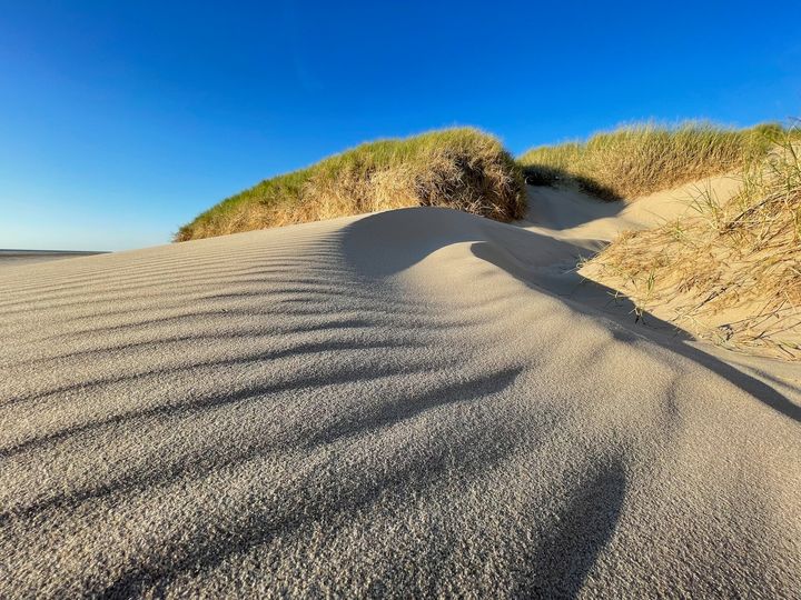 Sand, sky and traces of the wind.